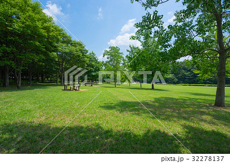 北総花の丘公園　芝生広場 32278137