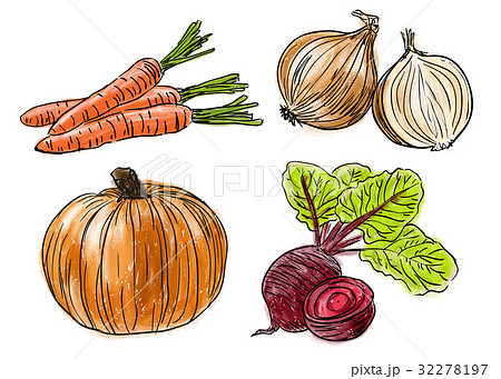 Types of fresh vegetables 32278197