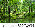 苔生す庭園 32278934
