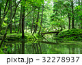 苔寺の庭 32278937