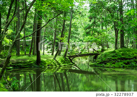 苔寺の庭 32278937