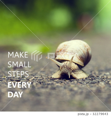 Make Small Steps Every Day. Small brown snail. 32279643