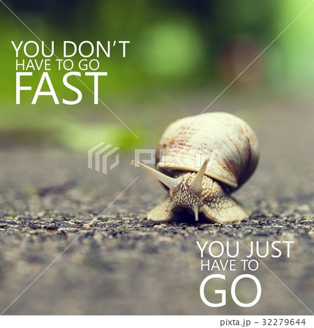 Make Small Steps Every Day. Small brown snail. 32279644