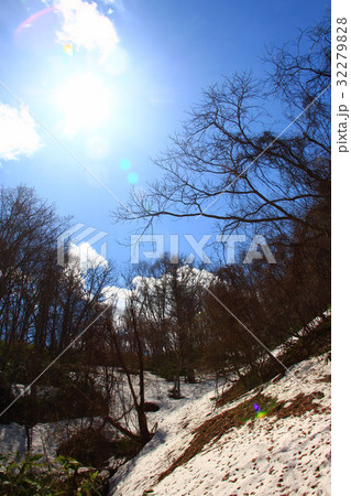 銭函天狗山登山道の春景色 32279828