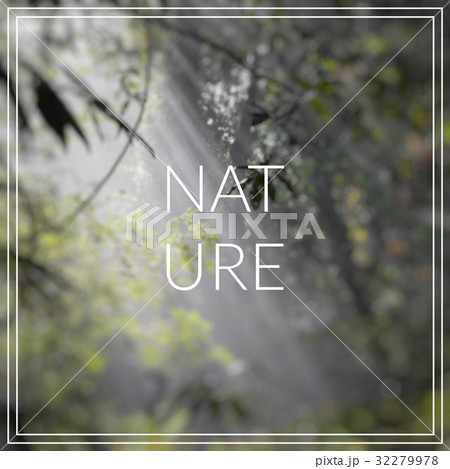 Nature. Sunlight rays pour through leaves 32279978