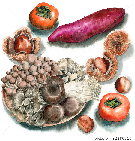 アナログ水彩秋の味覚農作物いろいろセットのイラスト素材 アナログ水彩秋の味覚農作物いろいろセットのイラスト素材