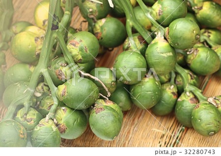 betel nut betel nut 32280743