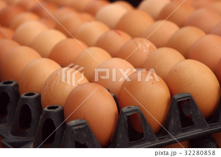 Eggs at the market 32280858