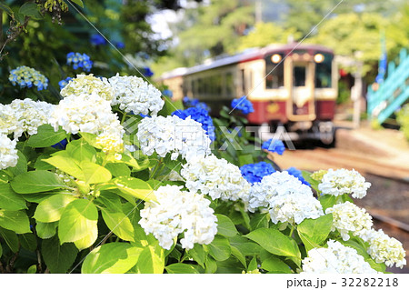 初夏のわたらせ渓谷鉄道 32282218