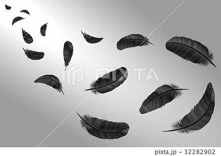 Feathers vector set in a 3d style. Feathers vector set in a 3d style. 32282902