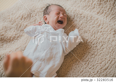 Day 13 Day 13 32283516