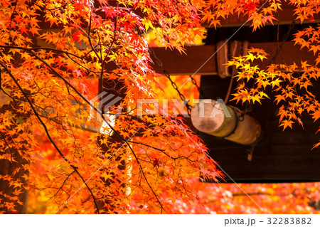 紅葉の常寂光寺、梵鐘 32283882