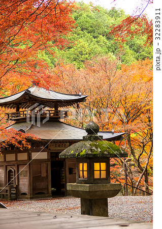 愛宕念仏寺、絵馬堂と紅葉 32283911