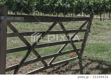 Old Wooden gate to a vineyard Old Wooden gate to a vineyard 32284418