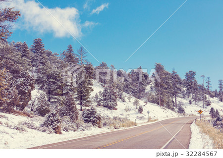 Winter road Winter road 32284567