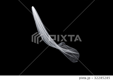 wedding white Bridal veil isolated on black 32285285
