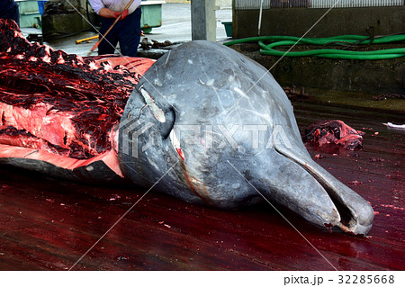 和田浦の捕鯨基地。 32285668