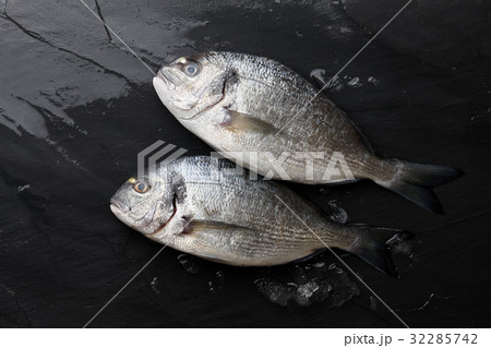 Fresh raw sea bream fish at the rock 32285742