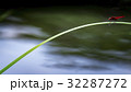 佇む赤とんぼ 32287272