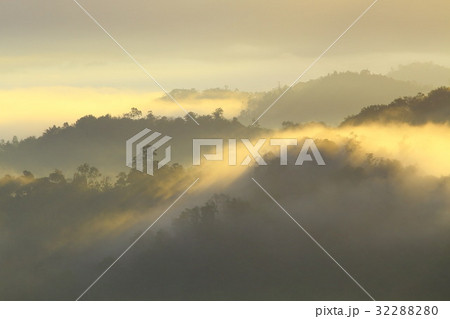 Forest landscape at foggy sunrise, Sabah, Malaysia 32288280