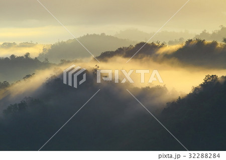 Forest landscape at foggy sunrise, Sabah, Malaysia Forest landscape at foggy sunrise, Sabah, Malaysia 32288284
