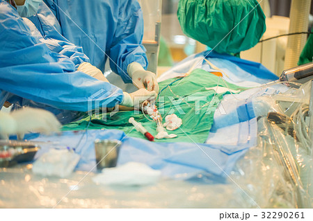 Doctor prepare equipment  32290261