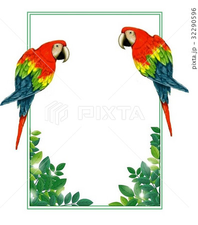 オウムと植物のフレームのイラスト素材