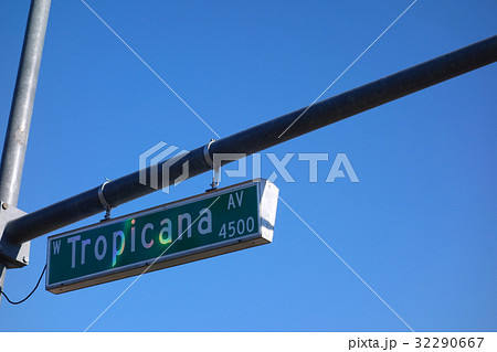 トロピカーナアベニュー 32290667