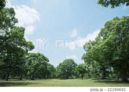 緑がいっぱいの公園 緑がいっぱいの公園 32290692