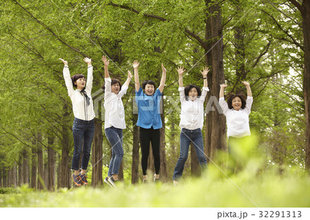 同窓生 同級生 メタセコイア 32291313