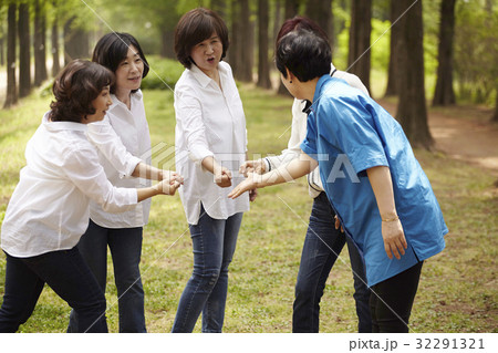 同窓生 同級生 メタセコイア 32291321