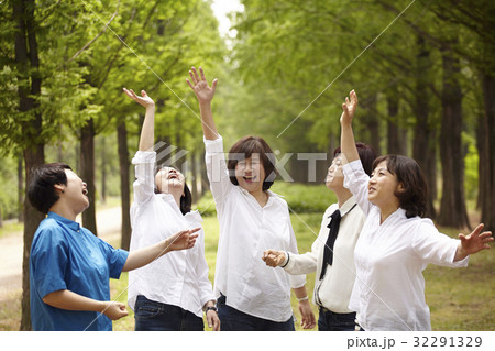 同窓生 同級生 メタセコイア 32291329