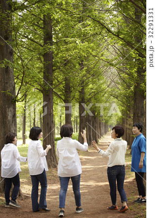 同窓生 同級生 メタセコイア 32291331