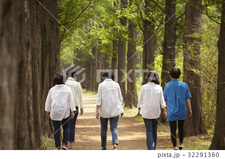 同窓生 同級生 メタセコイア 32291360