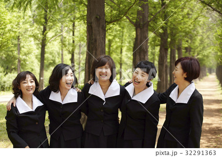 同窓生 同級生 メタセコイア 32291363