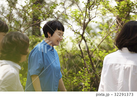 同窓生 同級生 メタセコイア 32291373