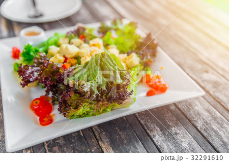 fresh oganic vegetable tofu mix salad fresh oganic vegetable tofu mix salad 32291610