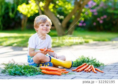 Funny little kid boy with carrots in domestic Funny little kid boy with carrots in domestic 32292195