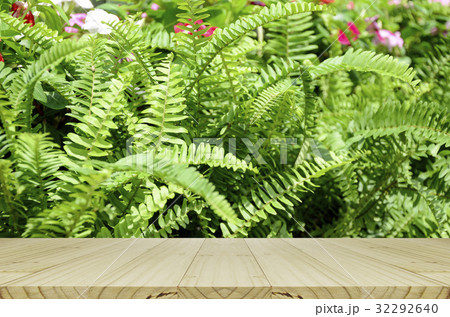 Picnic table with green garden background. Picnic table with green garden background. 32292640