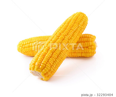 corn isolated on white background 32293404