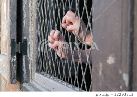 Woman hands on lattice 32293512