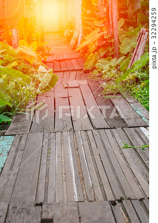 old path wood bridge in deep forest old path wood bridge in deep forest 32294259