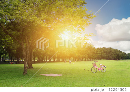 clean green park grass and tree 32294302