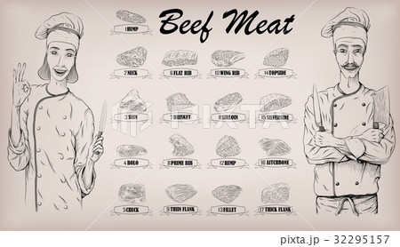 Beef meat carcass cut parts cow chop info graphics 32295157
