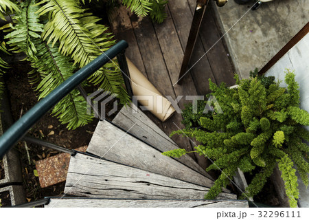 Open Door with Garden View 32296111