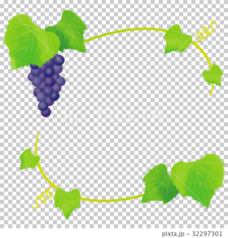 Grape frame _ d Grape frame _ d 32297301