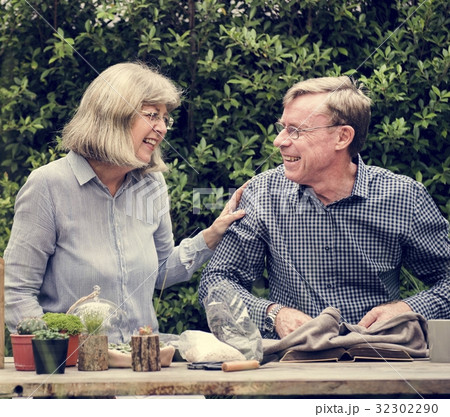 Botanical Environment Green Pottery Nature Botanical Environment Green Pottery Nature 32302290