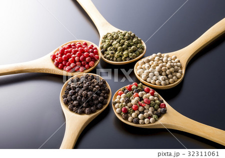 スパイス スパイス 32311061
