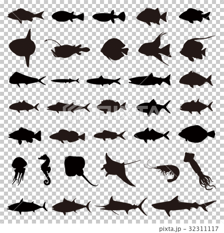 Fish Silhouette Vector 32311117