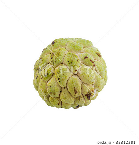 custard apple isolated on white background. custard apple isolated on white background. 32312381